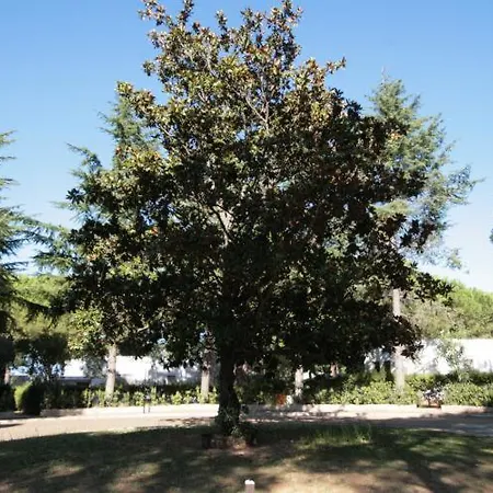 Ξενοδοχείο Mira 3*