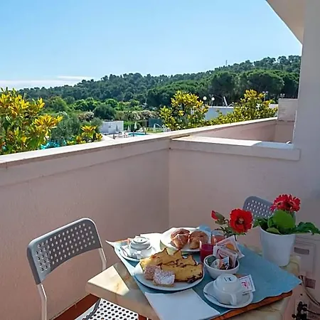 Hotel Mira 3*